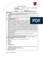 Guia Practica Lab 6. Brocoli Map