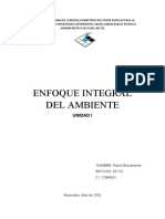 Enfoque Integral Del Ambiente - Ruben Bracamonte