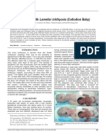 Articulo Arlequin PDF