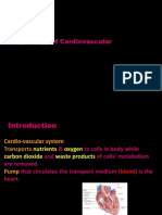 Physiology of Cardiovascular