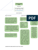 Mapa Conceptual-Contaminacion