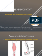 Achillestendinopathy 150301025014 Conversion Gate02 PDF