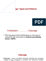 Cleavage: Types and Patterns