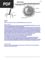 Los VIRUS LKÑ