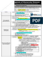 Differential Diagnosis of Glomerular Diseases