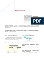 SEM6 - 1 - Terminos Algebraicos