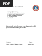 Laboratorio Sobre Los Actos Procesales y