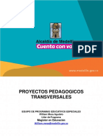 Metodología Proyectos Transversales