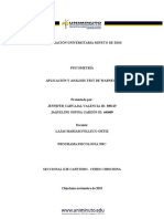 Aplicación y Analisis Del Test de Warnegg