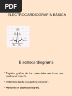 Ekg Basica