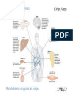 Estrategias Regulacão Período Pós-Absortivo e Absortivo