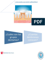 Sistema Dentario PDF