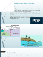 Intrusion Salina en Acuiferos Costeros
