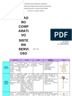 Cuadro Comparativo Sistema Nervioso