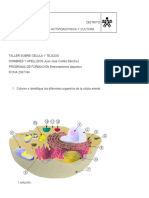 Taller Sobre Celula y Tejidos