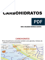 Carbohidratos PDF