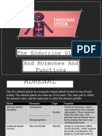 The Endocrine Glands: and Hormones and Functions