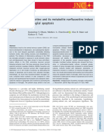 Dhami Et Al-2019-Journal of Neurochemistry PDF