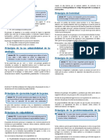 TÍTULO PRELIMINAR - Resumen Principios