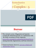 Knee Complex: 5: Biomechanics