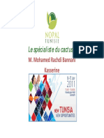 Presentation Nopal PDF