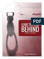 Hybrid Leave The Gym Behind PDF