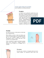 Tipos de Pie Según El Largo de Sus Dedos