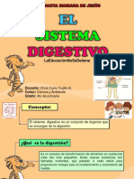 Sistema Digestivo 4to