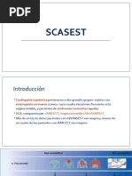 54b Angina Inestable e IAMSEST