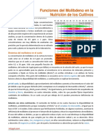 Funciones Del Molibdeno en La Nutricion de Los Cultivos