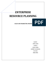 Enterprise Resource Planning: Sales and Marketing Module