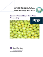 RACP - ABPF - Tech DPR - Amla Processing - Project - Report PDF