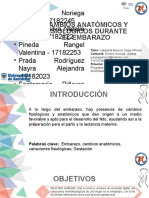 CAMBIOS ANATÓMICOS Y FISIOLÓGICOS PROYECTO DE ASIGNACIÓN, Finales