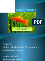 Peces Ornaméntales