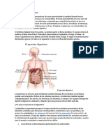 Sistema Digestrivo