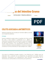 Patologias de Intestino Grueso