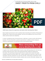 How To Make Sweet Profits From Chilli Farming - Biashara Leo Digital