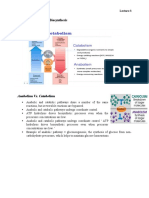 What Is Metabolism?: Topic: Carbohydrate Biosynthesis