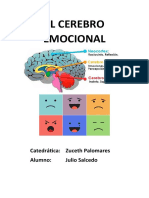 El Cerebro Emocional