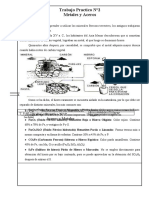 TP2 Aceros y Metales