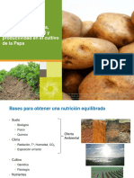 Nutrici+ N Balanceada Clave en La Calidad y Rendimiento Del Cultivo de Papa PDF