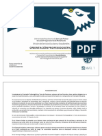 Orientacion Profesiográfica PDF