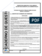 Rg-M-Agente de Combate As Endemias PDF