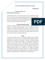 Ejemplo de Un Juicio Sumario de Relacion Causal