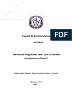 NARBAITZ, MARIA AGUSTINA. Facultad de Ciencias Veterinarias. Piometra Felina