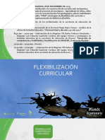 Flexibilización Curricular