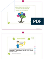 Memoria-MÓDULO 5 - MEJORAMIENTO DEL SISTEMA DE GESTIÓN DE SEGURIDAD Y SALUD EN EL TRABAJO PDF