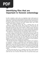 Identifying Flies That Are Important in Forensic Entomology