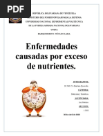 TRABAJO (Enfermedades Causadas Por Exceso de Nutrientes) - Barbara Quevedo-1D03