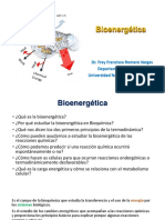 Bioenergetica LBBM